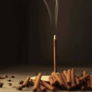 Action Figures & Collectibles